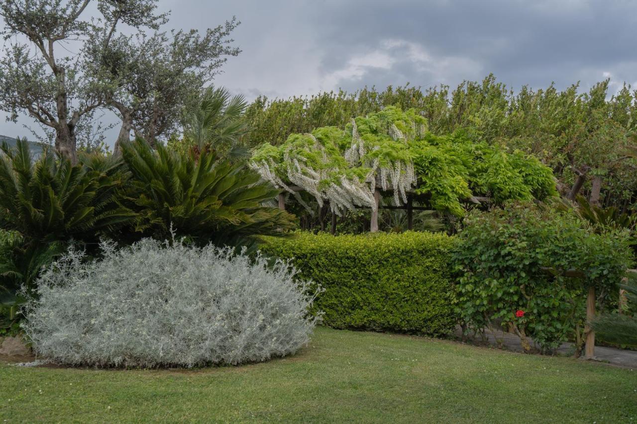 Villa La Pace Sant'Agnello Exteriör bild