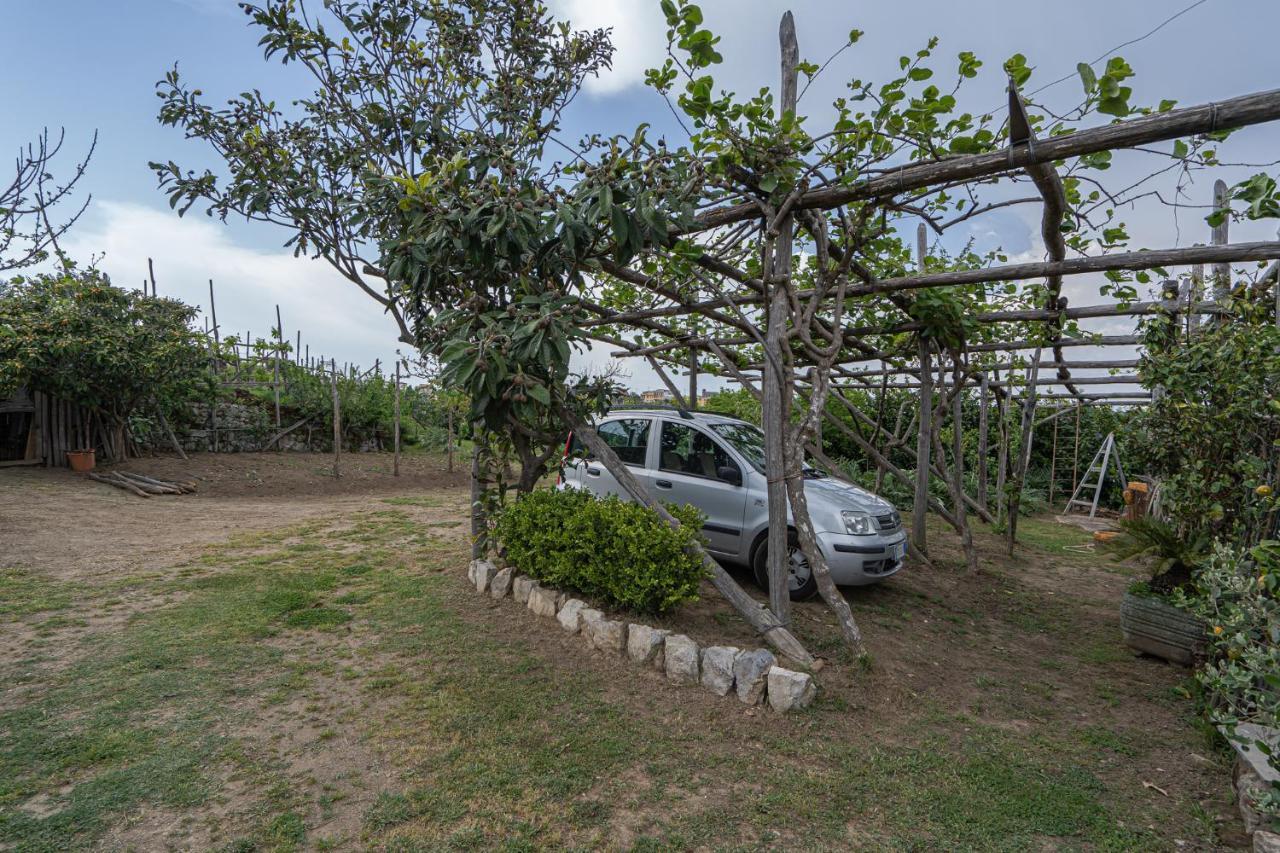 Villa La Pace Sant'Agnello Exteriör bild